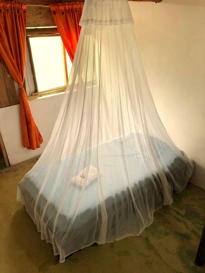 Moon Wind Tayrona Hostel เอลไซโน ภายนอก รูปภาพ